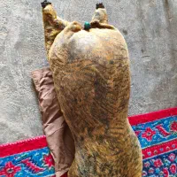 خیگ تمیز وسالم