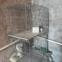 یک قفس بزرگ  دو کوچکتر|لوازم جانبی حیوانات|بافق, |دیوار