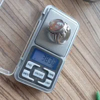 یک عدد انگشتر شجر نایاب نیست در جهان