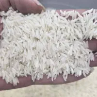 برنج درجه یک صدری هاشمی دو سرند گیلان محصول