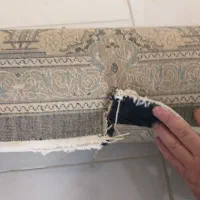 ۲ تخته فرش۱۲متری|فرش|پردیس, فاز ۱۱|دیوار