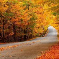 تور دو روزه چهارشنبه 5 آذر بندرترکمن صحرا|تور و چارتر|رشت, کوی فرهنگیان|دیوار