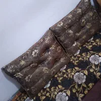 پشتی درحدنو