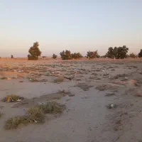 زمین فروشی روستای افضل گلمیر