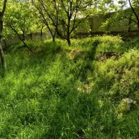 فروش باغ ویلایی 690متر واقع در اسکو