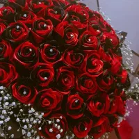 گل ربانی|گل مصنوعی|لنگرود, |دیوار