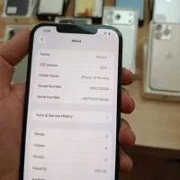 12 pro max|موبایل|کرج, گوهردشت|دیوار