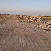 زمین تفکیکی کوت سید سلطان(نرسیده به ویس و ملاثانی)|فروش زمین و ملک کلنگی|اهواز, کوروش|دیوار