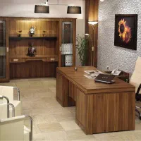 منشی خانم دستیار مدیر عامل