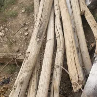 فروش مقداری چوب