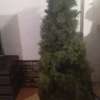 درخت کریسمس