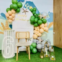 بادکنک آراییتو به من بسپار|خدمات پذیرایی، مراسم|بندرعباس, |دیوار