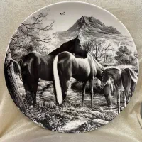 دیس یا بشقاب بزرگ دیوارکوب