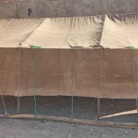 چادر عشایری