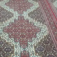 شش عدد قالی