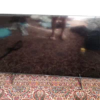 تلویزیون 65اینچ پنل شکسته کارتون مال خودش نیست