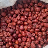 عناب ۲۰۰ کیلو سورت شده درتیمورلو