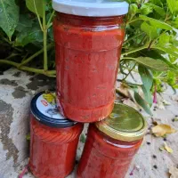 رب گوجه خانگی با گوجه فرنگی بسطام