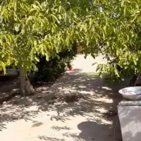 قطن-اباد-خانه-فروشی