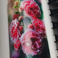 دستگاه اکوسالونت|ماشینآلات صنعتی|بندر ماهشهر, |دیوار