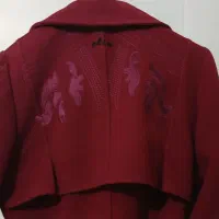 پالتو ، کاپشن ، بارانی|لباس|تبریز, |دیوار