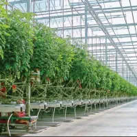 انباردار در جوادآباد ورامین