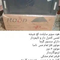 هود|هود|گرگان, |دیوار