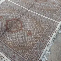 ارسال رایگان بافنده ام چهل رج جفت نه متری|فرش|اردبیل, |دیوار