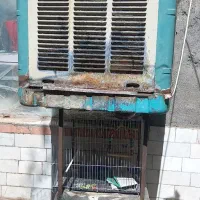 کولر مشهد دوام‌‌ ۵۰۰۰