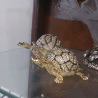 لاک پشت دکوری جا جواهری