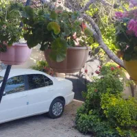 ویلایی-تک-برگ-سند