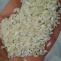 برنج کامفیروز اصل|خوردنی و آشامیدنی|شیراز, لاله|دیوار