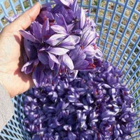 تولید وپخش عمده انواع زعفران خراسان(فله،بسته بندی)|عمده‌فروشی|اهواز, بهارستان|دیوار