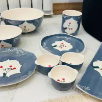 ظروف پذیرایی سرامیکی|ظروف سرو و پذیرایی|گرگان, |دیوار