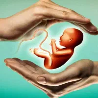 نیازمندن تعداد زیادی رحم جایگزین وتخمک هستیم