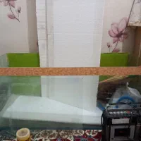 آکواریوم ماهی