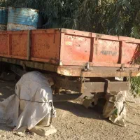 تریلی دوچرخ