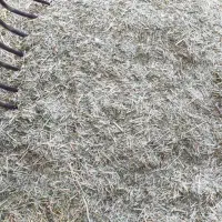 علف جار درجه یک|لوازم جانبی حیوانات|موچش, |دیوار