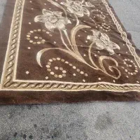 قالی برا داخل باغ گلخونه|فرش|مرودشت, علی‌آباد‎|دیوار