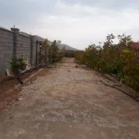 اجاره زمین کارگاه کابل سازی،کوچه علوی،قمشه