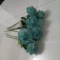 ۷شاخه گل، نگه دارنده پرده، محافظ تخت