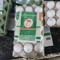 جذب نماینده پخش و فروش تخم مرغ بسته بندی  «تنگاب»|استخدام بازاریابی و فروش|شیراز, هفت تنان|دیوار