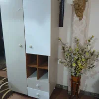کمد نوجوان شرکتی