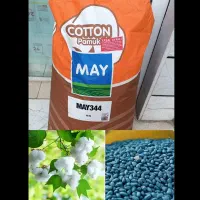 فروش بذرپنبه