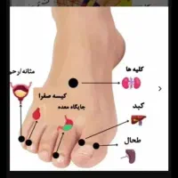 حجامت، ماساژ درمانی