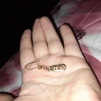 دوجفت گوشواره سالم