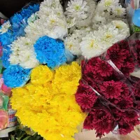 گل طبیعی و گل واسه میوه ارایی