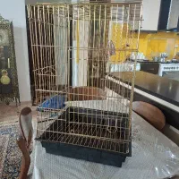 قفس کاسکو طلایی