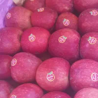 سیب زرد وقرمز مراغه سیب سردخانه خیلی زیبا ودرشت|خوردنی و آشامیدنی|بوکان, |دیوار