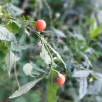 مکان های دیدنی